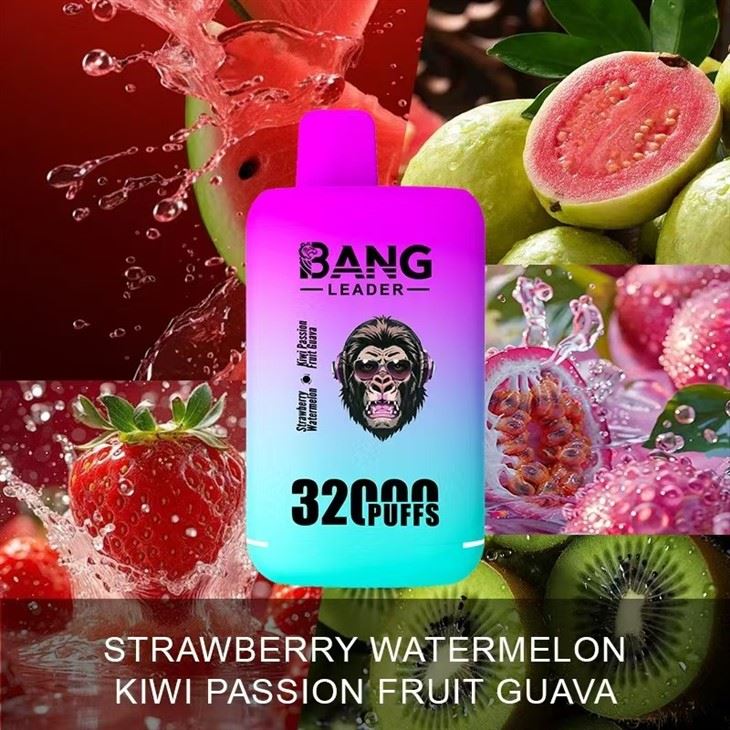 BANG LEADER 32000 Puffs (2)
